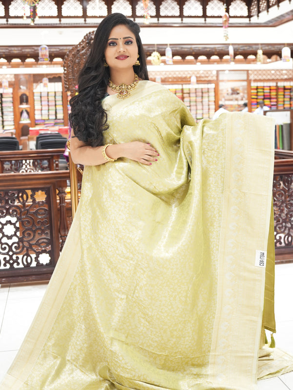 CSM-17844 | Pista Green Soft Banaras Tissue Saree